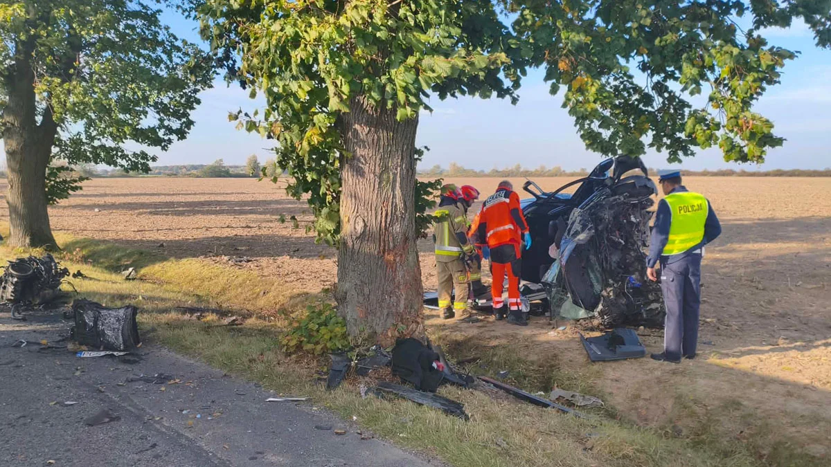 Poważny wypadek na drodze powiatowej Gostyń - Poniec. Auto uderzyło w drzewo