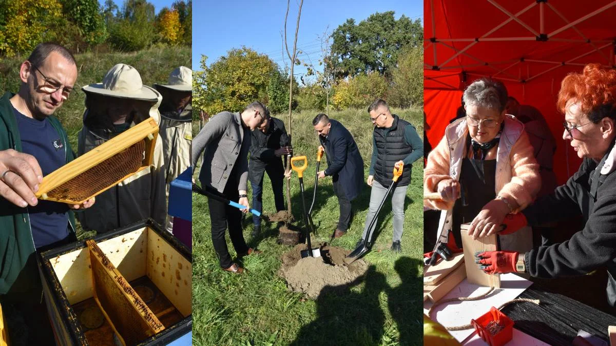 Dzień Drzewa 2026 w Piaskach