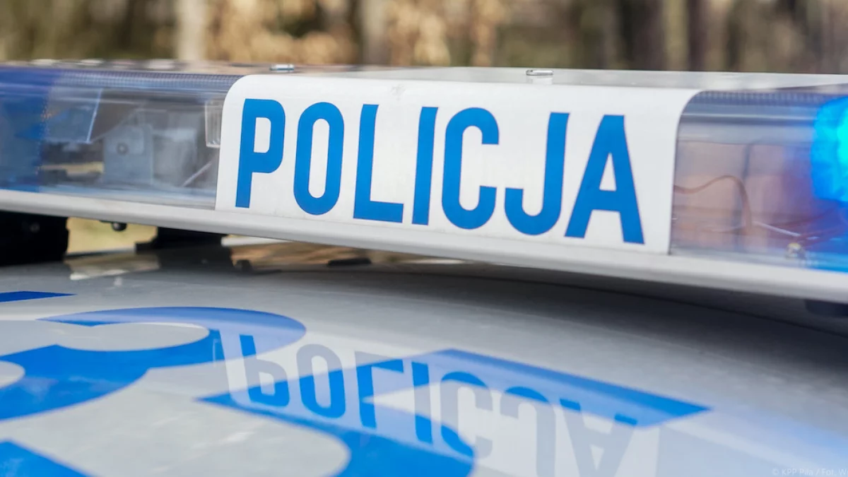 Dla policjantów to były "prawdziwe żniwa". Piraci drogowi, recydywiści i pijani za kierownicą